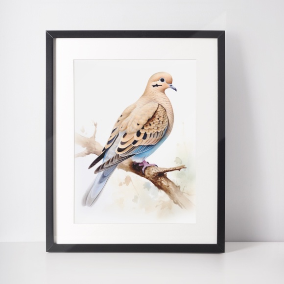 Watercolor Mourning Dove Bird Portrait Wall Art Illustration Print Unframed - Picture 2 of 5